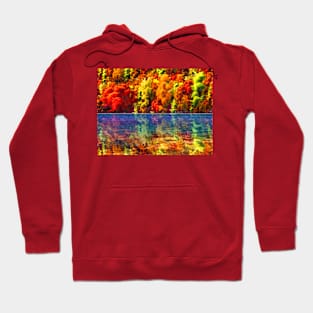 Autumn Trees reflection Hoodie